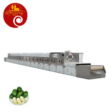 High Quality Betel  Nuts Dryer Microwave Dehydrating Machine
